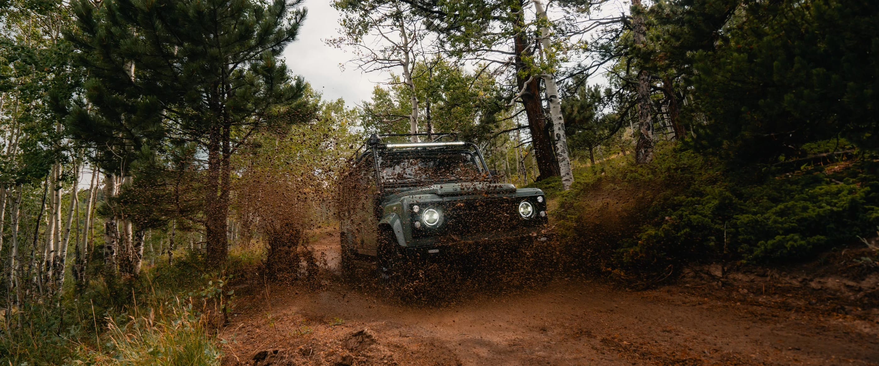 Defender on a forest track